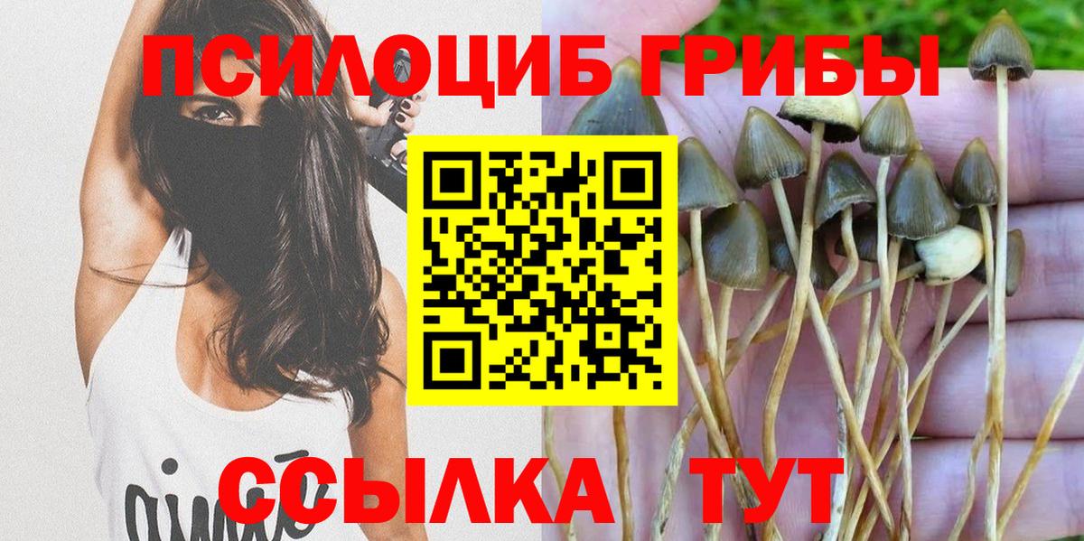 Галлюциногенные грибы мухоморы  Вход с VPN  Маркс 