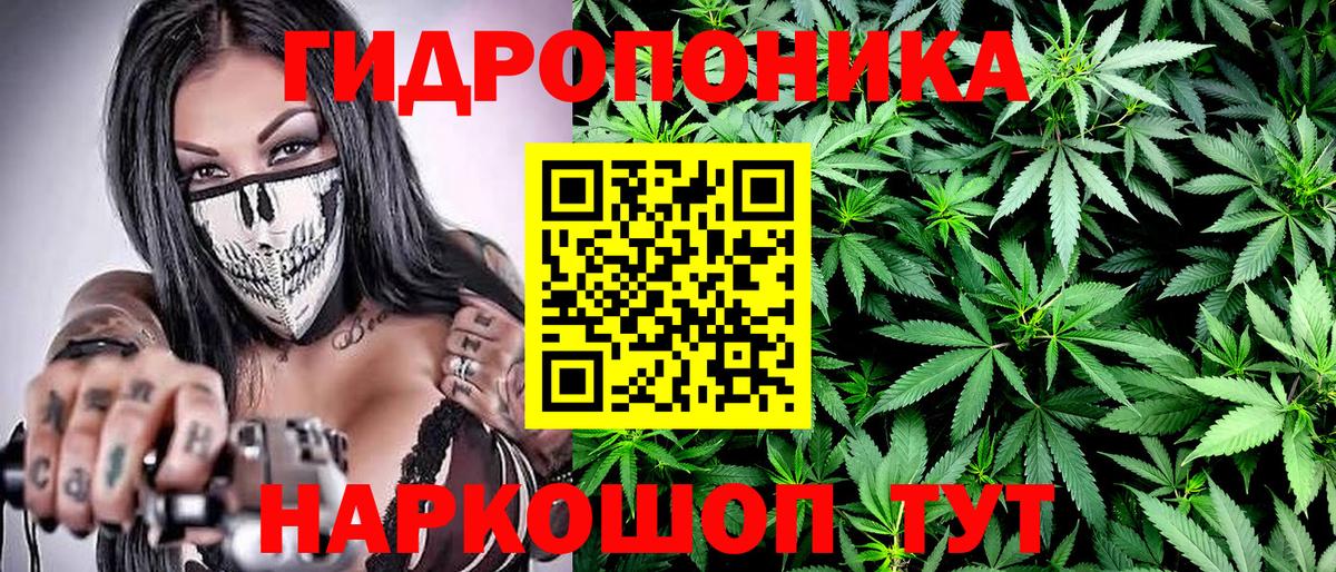 Бошки марихуана гибрид  МАРИХУАНА ГИДРОПОН  Каннабис план  Вход с VPN  Маркс  Конопля White Widow 